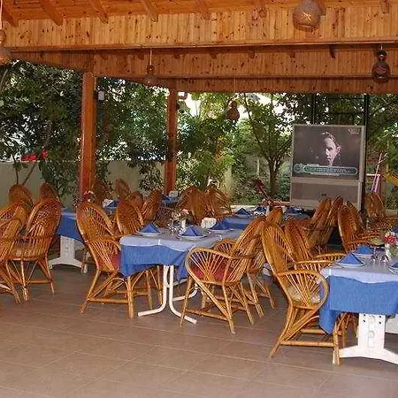 Yeni Acun Alanya