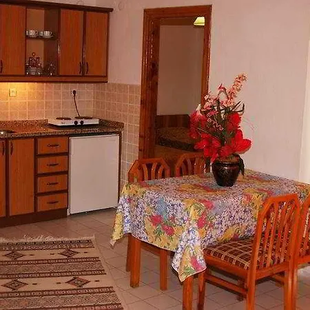 Yeni Acun 3*